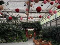 -春满园生态餐厅(南宫路店)