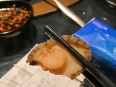 鲍鱼18元一只-凤园椰珍·臻品椰子鸡(保利时光里店)