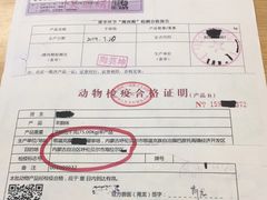 -阿九笨鸡蛋手擀面(总店)
