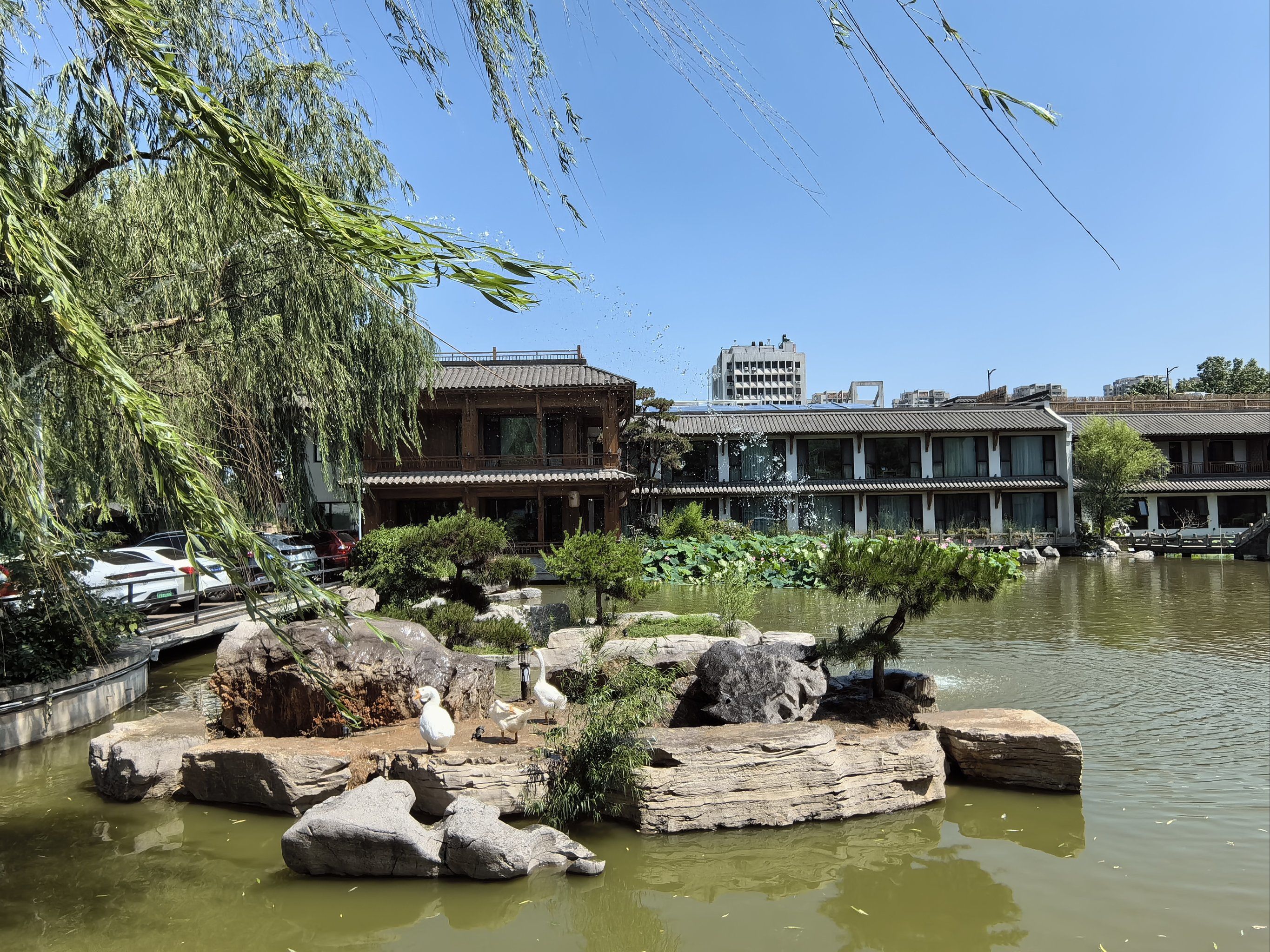 环境好,服务好,菜品色香味俱佳,适合家人