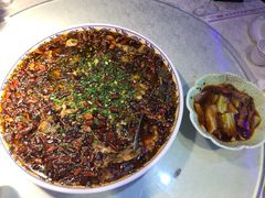 -新概念来凤鱼(璧山店)