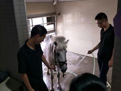 -李振强马术运动推广中心(南城店)