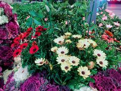 -人民公园(罗湖区)