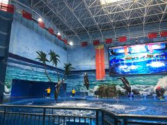 -多彩贵州城极地海洋世界