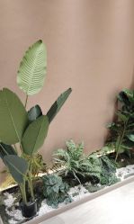 -丽都整形美容医院·全国连锁旗舰店