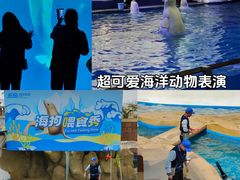 -秦皇岛乐岛海洋王国