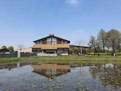 -宁波杭州湾国家湿地公园