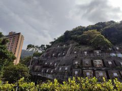 -香港大学