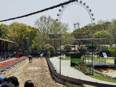 -上海野生动物园