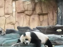 -泉州海丝野生动物世界