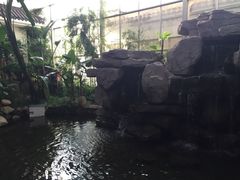 -汤山翠谷生态餐厅