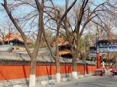 -北京国子监胡同