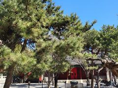 -大钟寺古钟博物馆