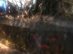 -中国湿地博物馆