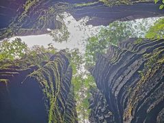 -梭布垭石林景区