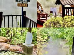-美的鹭湖森林度假区
