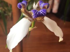 -麦度量贩式KTV(中联广场店)