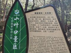 -山叶口景区
