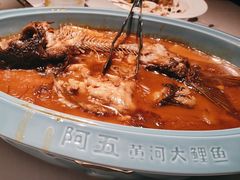 -阿五黄河大鲤鱼(纬三路店)