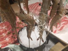 -鲜货俚鲜火锅(青果路店)
