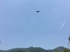 -三块石国家森林公园