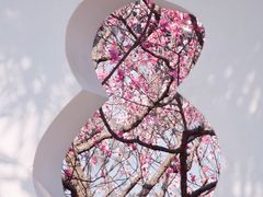 -梅花山(明孝陵内)