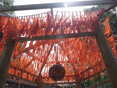 -南宁良凤江国家森林公园