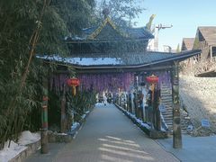 -呀路古热带植物园