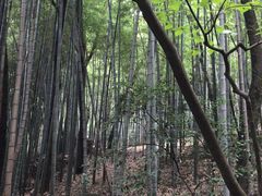 -穹窿山景区