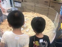 -东浩兰生上海世博展览馆