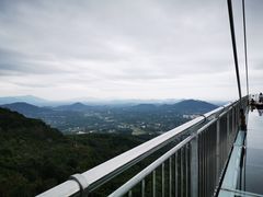 -呀诺达热带雨林