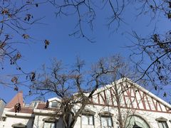 -天津五大道文化旅游区