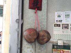 -洪馨椰子