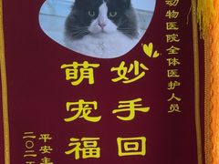 -恒幸动物医院·急重症转诊中心·神经内外科·CT核磁