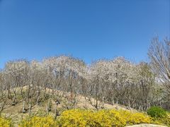 -河北省园博园