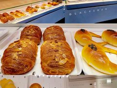 -BLACKSWAN黑天鹅(环球店)