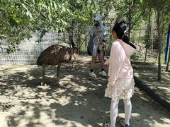 -新疆天山野生动物园