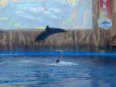 -华夏文旅海洋公园