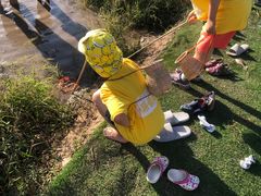 -大果情商(亲藤店)