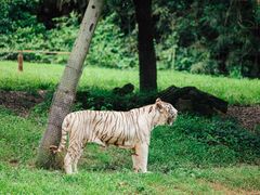 -杭州野生动物世界