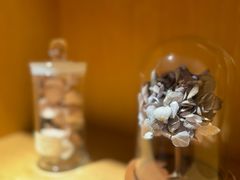 -左悦·艾灸调理·推拿按摩·精油SPA(卓悦汇店)