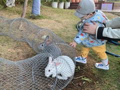 -泉州海丝野生动物世界