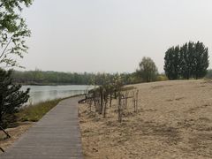 -东郊湿地公园