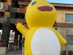 -南宫五洲植物乐园