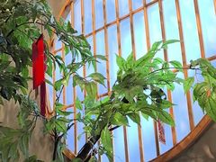 -花悦豆香