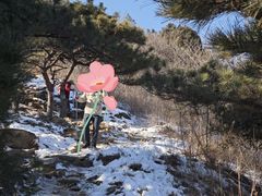 -北京西山国家森林公园