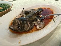 -南海渔村(珠江新城店)