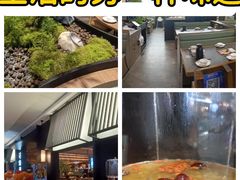 -滇铺子·云南特色菜·第九届野生菌美食节(曲靖万达店)