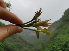 -浮戏山雪花洞风景名胜区