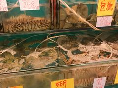 -鲜入围煮花胶鸡海鲜火锅